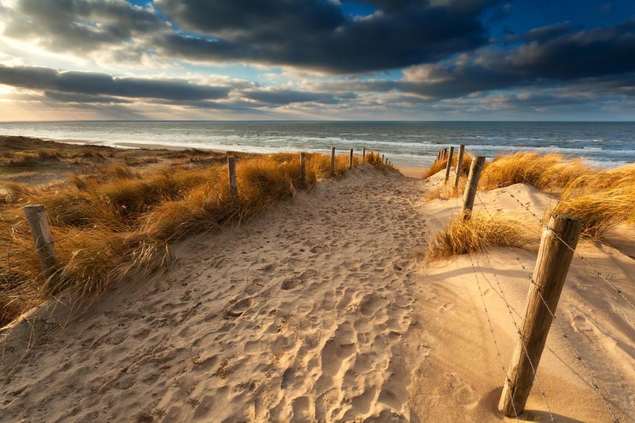Schelp 47 Daire Zandvoort Dış mekan fotoğraf