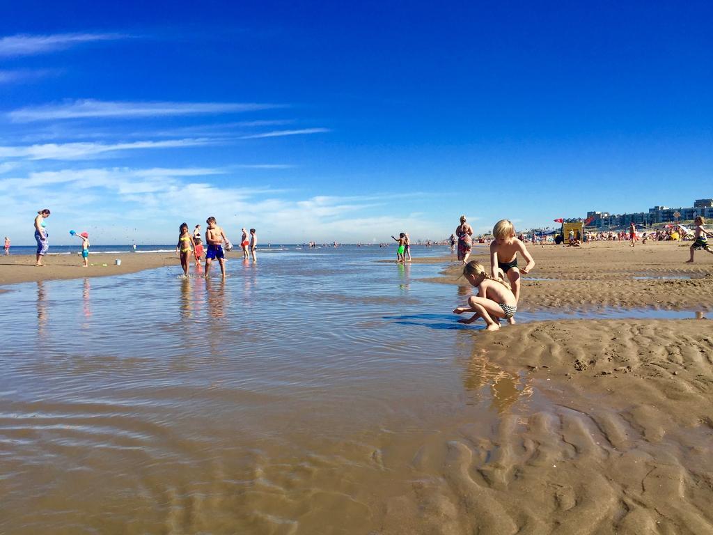 Schelp 47 Daire Zandvoort Dış mekan fotoğraf